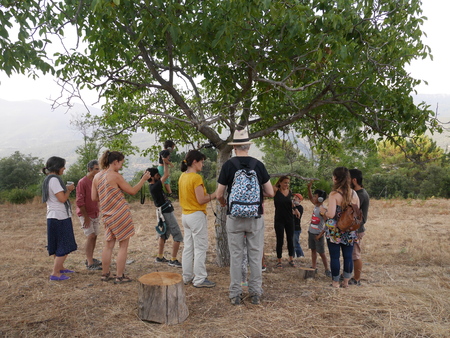  "Touch the tree and play with it"