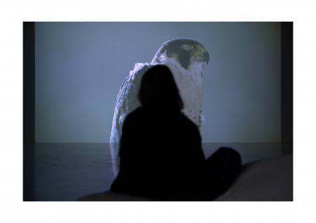  The Falcon of Karachi