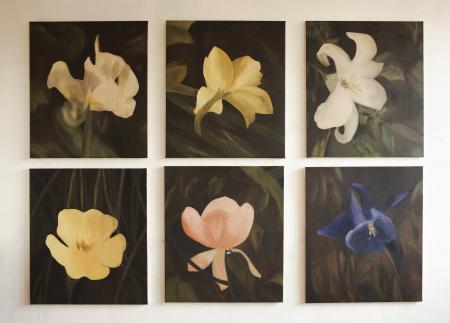  Verborgen in Daglicht, een serie van zes bloemenportretten.