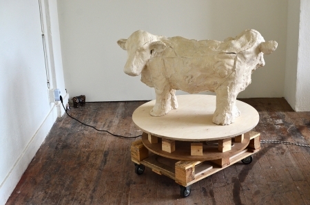  Untitled (double-headed cow)