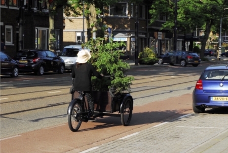  The Christmas Trees Project