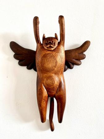  A flying cat