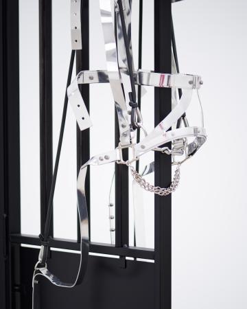  'Radical Uniform - Warmblood'