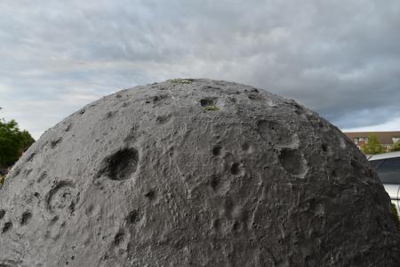  The Lunar Moss Piglets in the Sea of Serenity