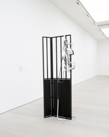  'Radical Uniform - Warmblood'