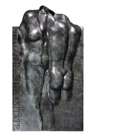  Unitas in Diversitata