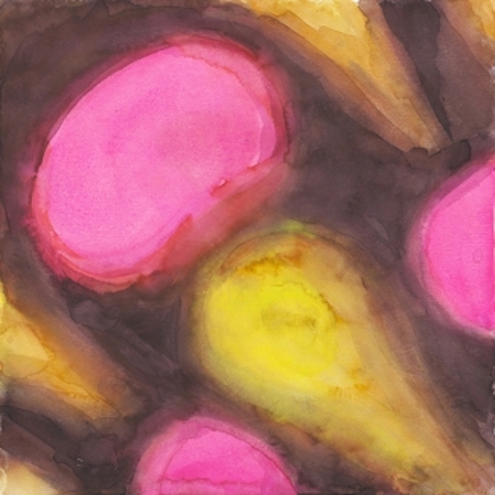  microde2