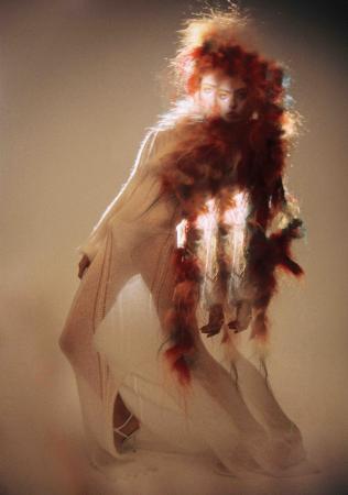  Strangeness and Charm