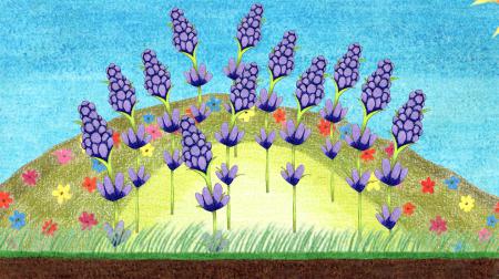  Towards tranquility, sanguinity