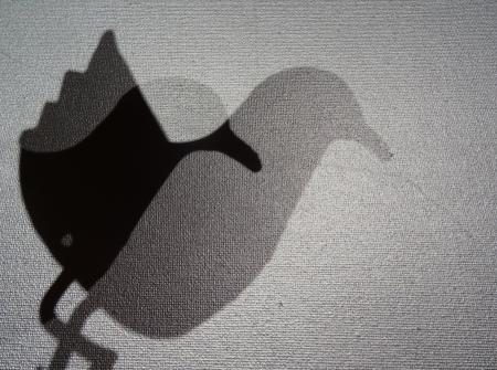 Fotoserie ''The flow of life''  Fotoserie ''The flow of life''