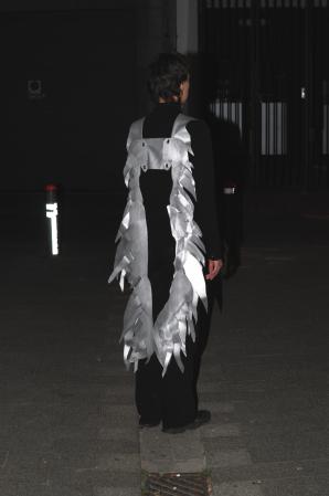  Wings