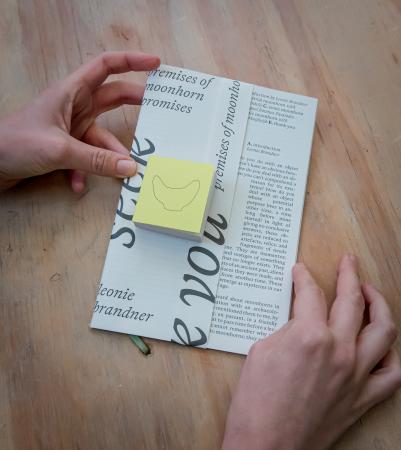  Seek You - premises of moonhorn promises