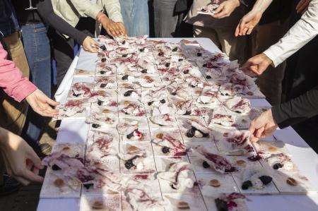 Book as... Food can be...  Book as... Food can be...