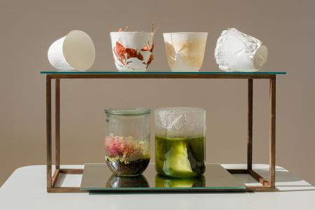  Still-Life, botanical eggshell porcelain 