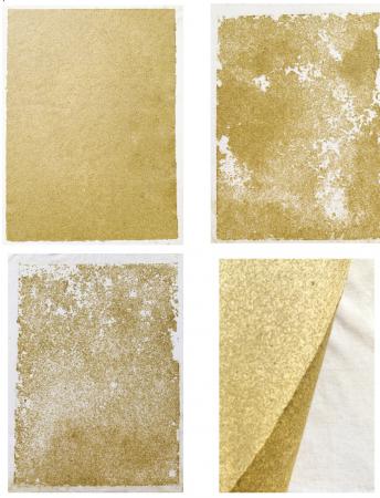  Codex of (un)sound decision trees and taxonomies