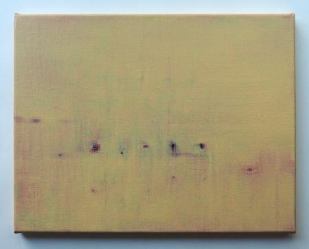  HET HUIS VAN DE OEVERZWALUW