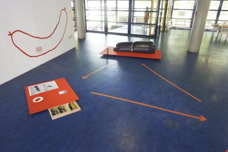  A Relationscape: Sauages, Balloons, Trees and Stones