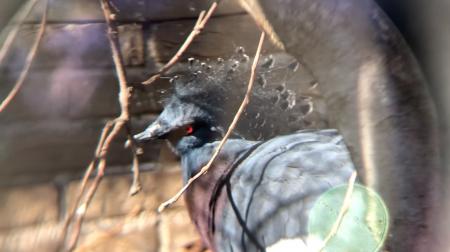  Audrey & I, our histories tied