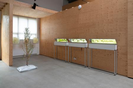  Aqua Morgana Zoetermeer