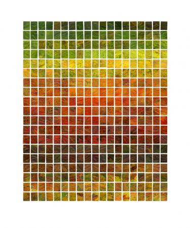  Monsters uit 'Quinta de Penalva Garden'