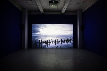  Becoming a Sentinel Species