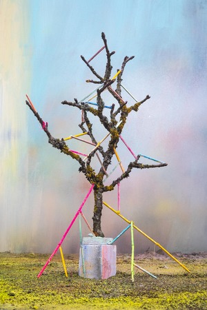  Summer, Tree Design Series