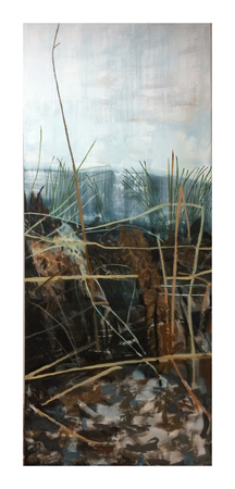  Bevroren oever met riet/expansie 3