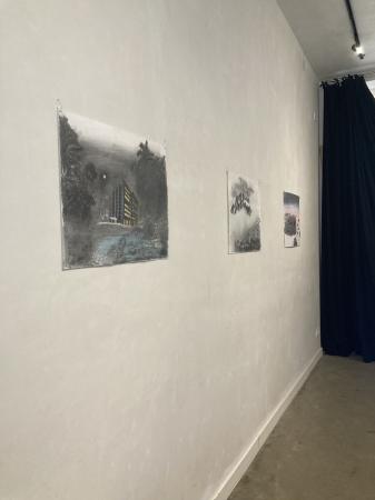  green house only greener exhibition view