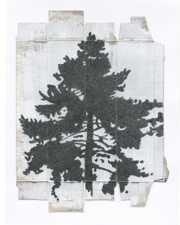  Tree drawing 18