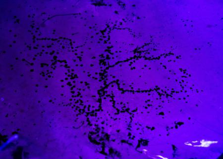 On the Border of Lines  On the Border of Lines