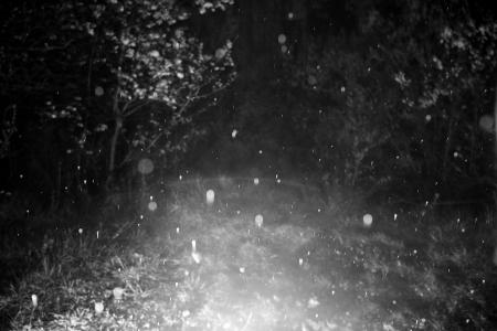  Faded Sight #1