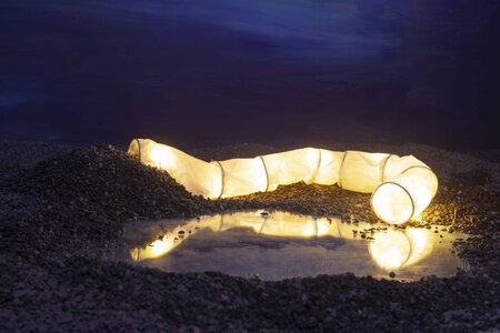  Narcissus - Lost and Found series