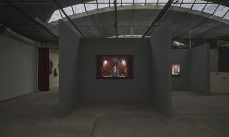  Vivarium, installation view, MOYA, Oosterhout