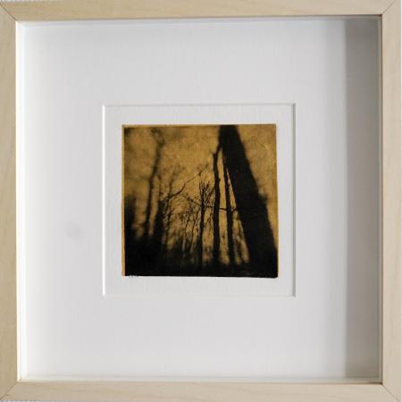  unsettling landscape a