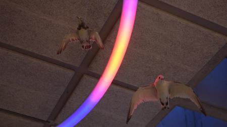  In the stillness of remembering what you had, and what you lost