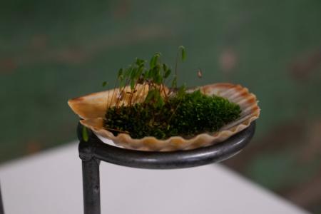  blimp, toot, jingle, fizz!