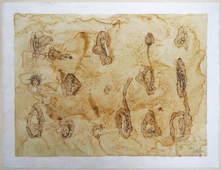  ABOUT FUNGI Ondergronds II