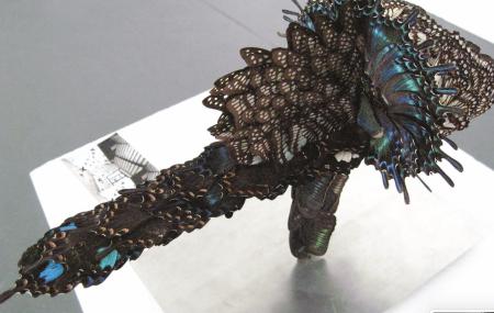  diffraction of imagination