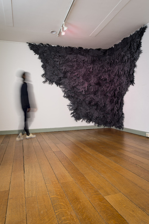  Unfamiliar Landscape after Pink Tsunami