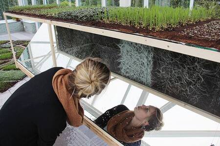  Radix Morgana Amstelpark (2015)