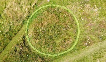  Sunflower Cirkel