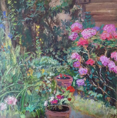  Hortensia