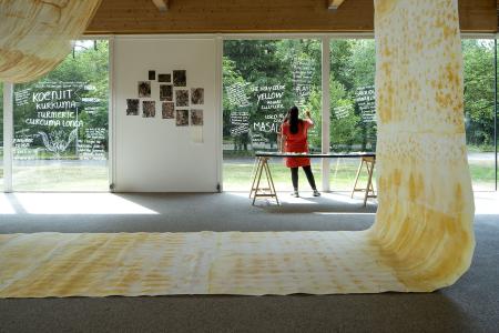 Curcuma Longa Characters  Curcuma Longa Characters