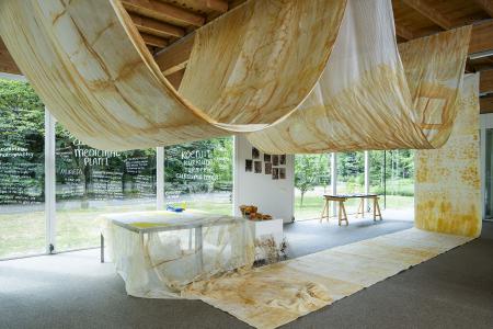 Curcuma Longa Characters  Curcuma Longa Characters