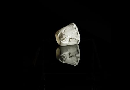 Biodigital Eggshell Porcelain