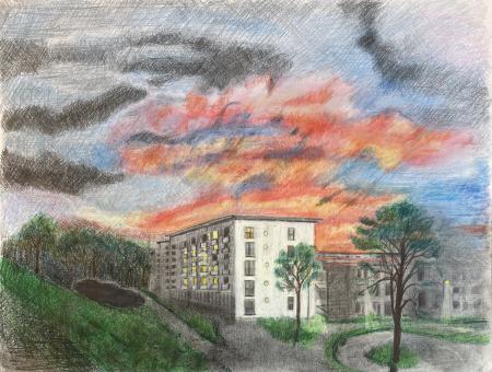  "Habitat Lost" series