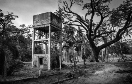  Botanical garden, Pondicherry India