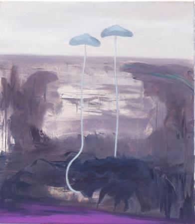  Magic muschrooms lll