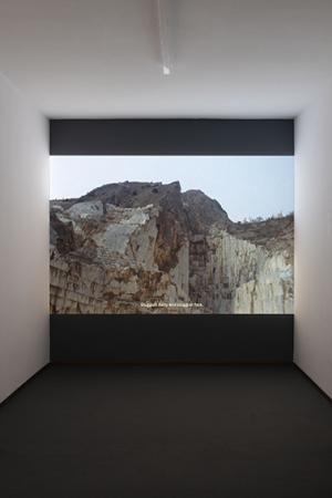  Blossoms and fruits at once