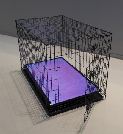  An eye for an eye and a tooth for a tooth